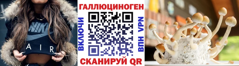 это официальный сайт  Полярные Зори  Галлюциногенные грибы мицелий 